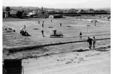 1950_3.jpg