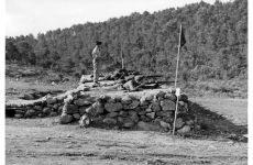 1950_1.jpg